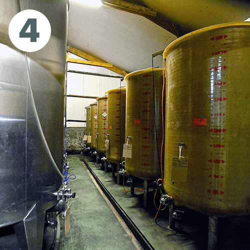 Cuves de fermentation
