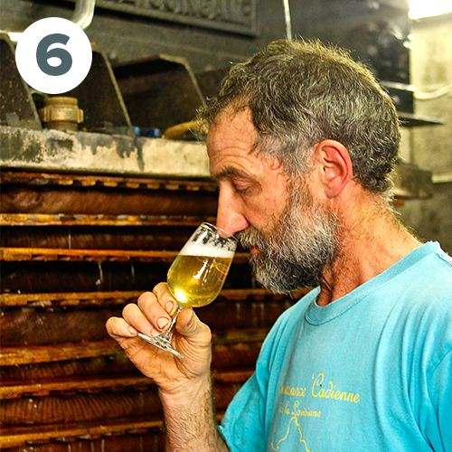 Dégustation par les experts